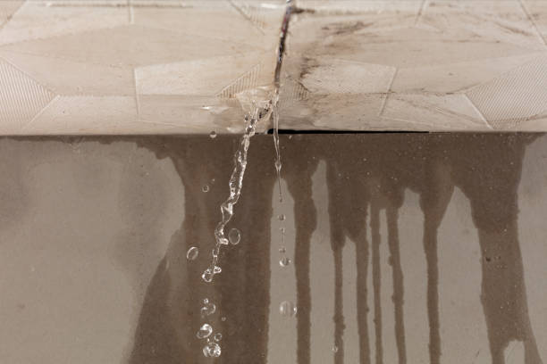 Professional Flood Damage Cleanup technician working in Sully, IA